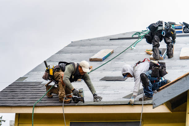 Professional Gutter Installation technician working in Roberta, GA